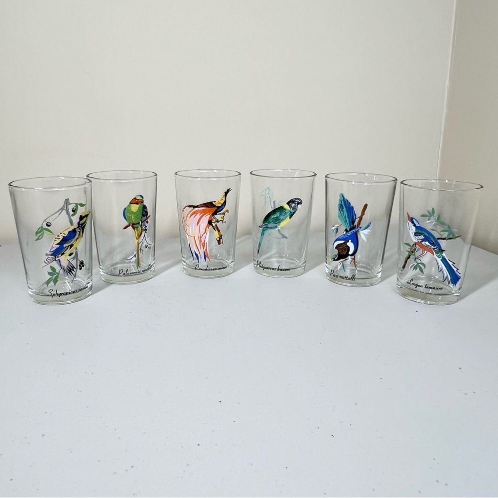 VTG 60’s Kig Malaysia Exotic Tropical Bird Glasses Set of 6